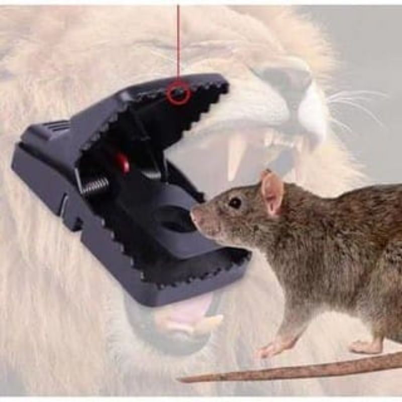 Perangkap Tikus Jepit Mouse Strap Model Jepit Perangkap Tikus Jepit