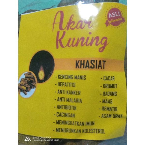 

Akar Kuning Asli Kalimantan