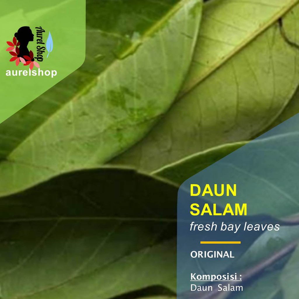 

Daun Salam Segar 1 kg