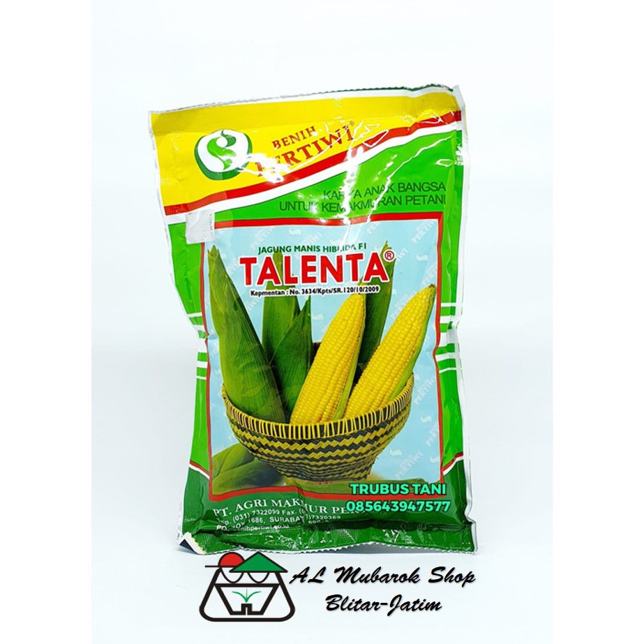 Benih jagung manis Talenta