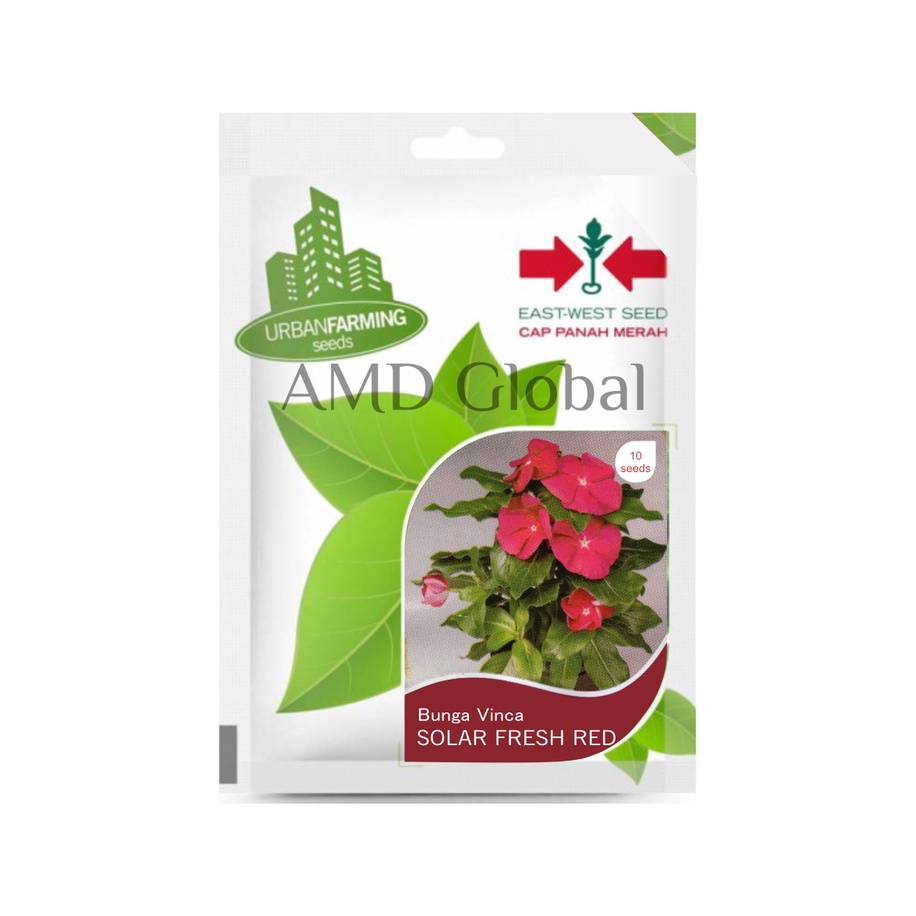 Benih Bunga Vinca Fresh Red / Tapak Dara Cap Panah Merah Isi 10 Biji