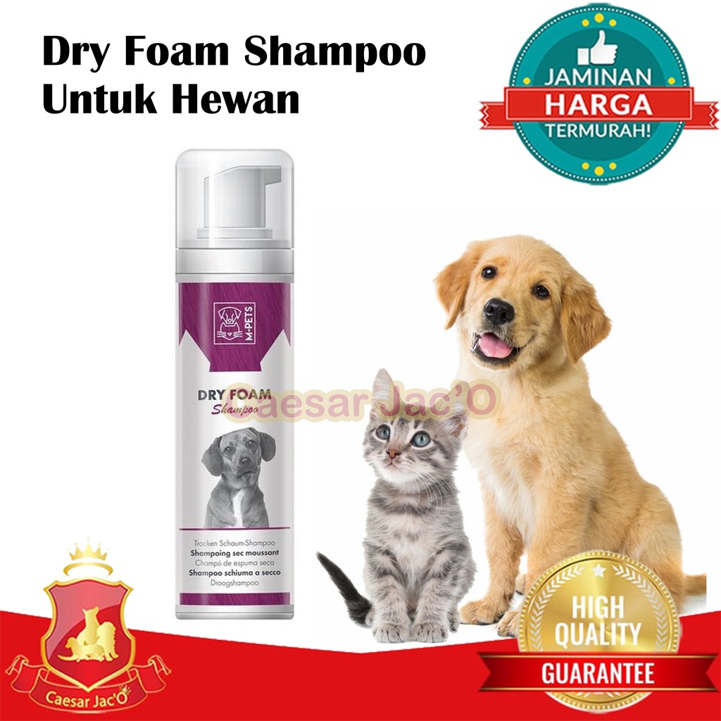 DRY FOAM SHAMPOO / Shampoo Kering Kucing Anjing Dry Foam Shampoo