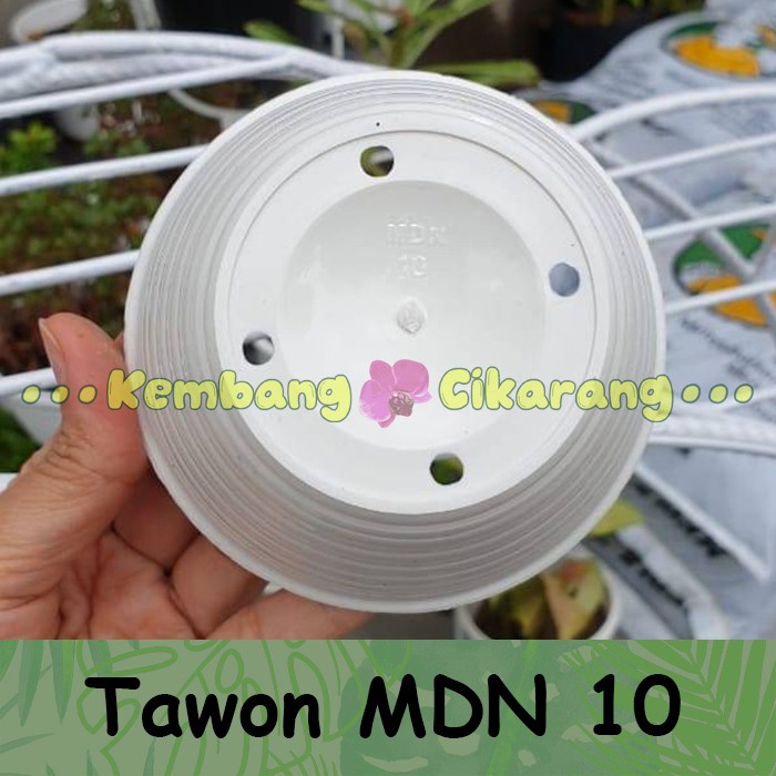 (6 pcs) Pot bunga model TAWON MDN 10cm kecil mungil pot mini pot kaktus sekulen