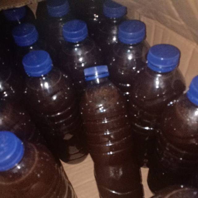 

Madu hitam hutan asli