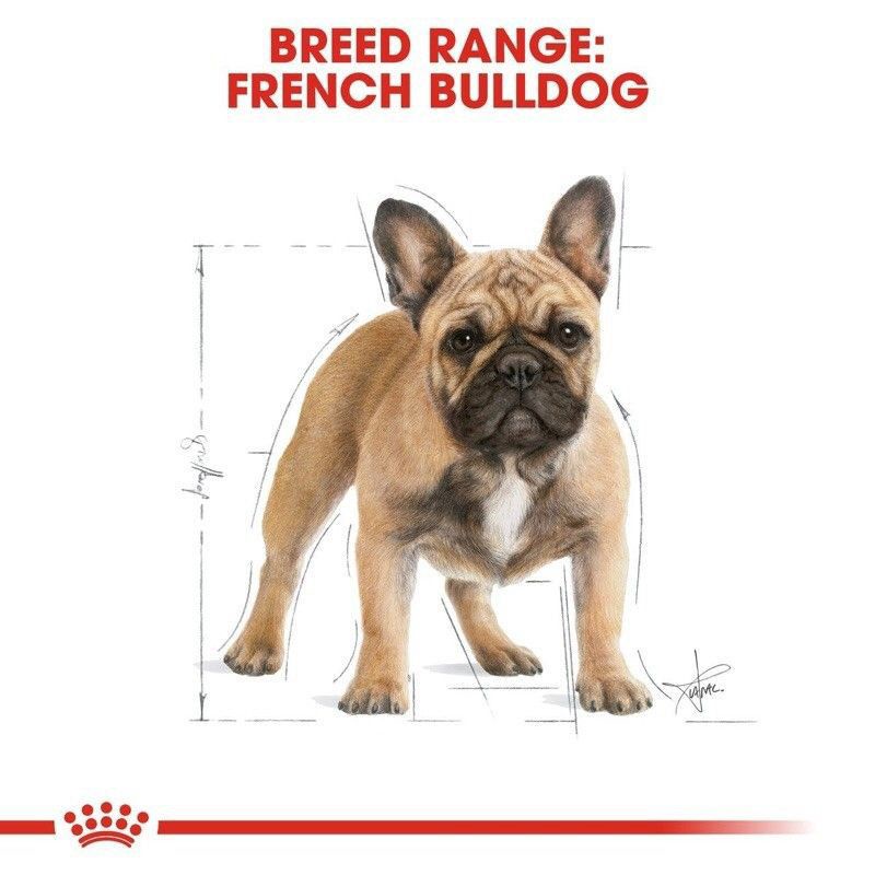Royal Canin French Bulldog Adult 3kg / Rc Khusus Anjing French Bull dog