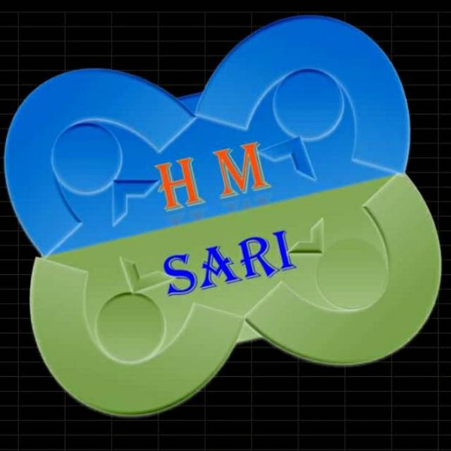 hmsari13
