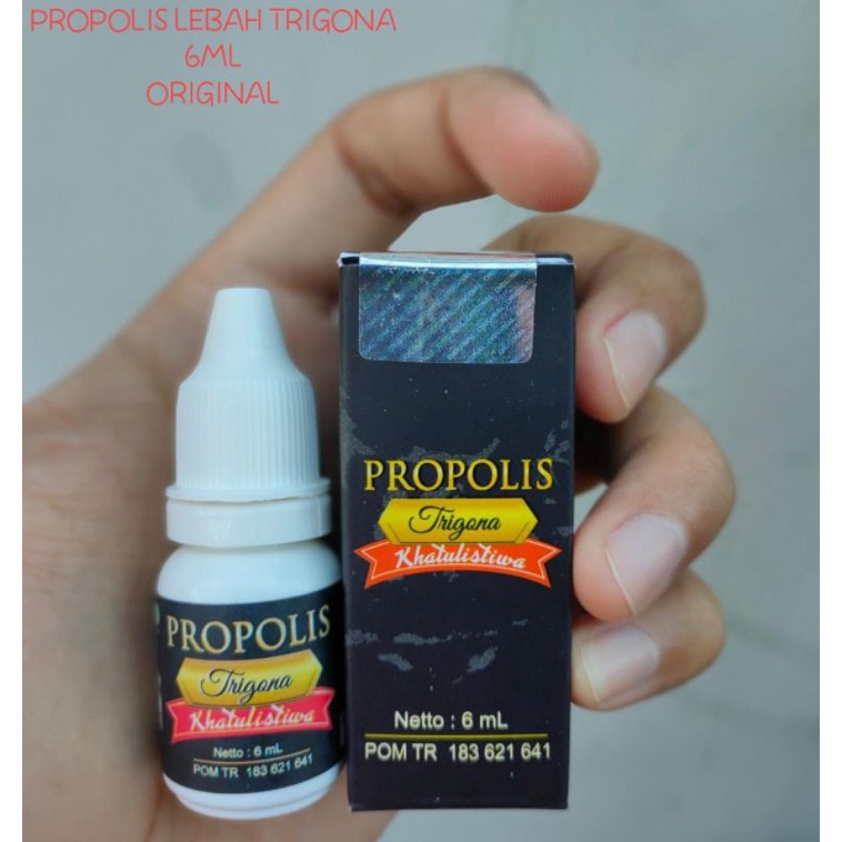 PROPOLIS LEBAH TRIGONA