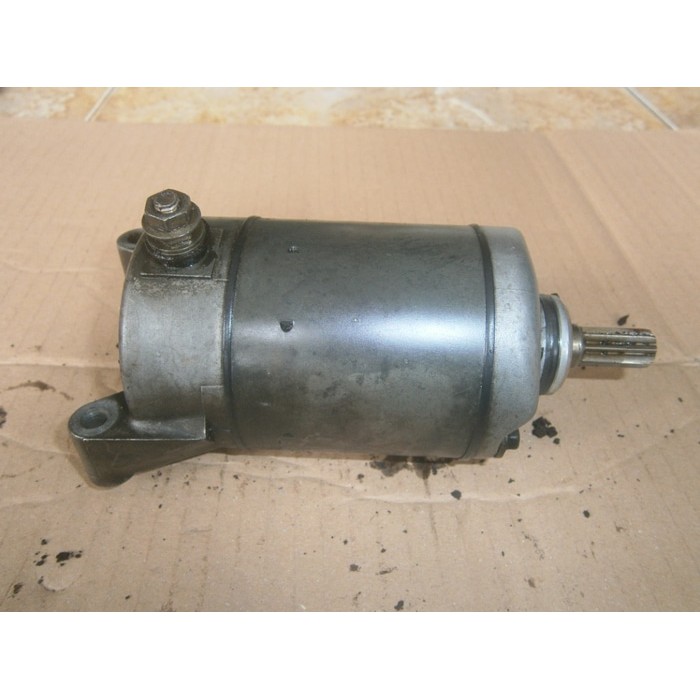 Dinamo stater tiger lama