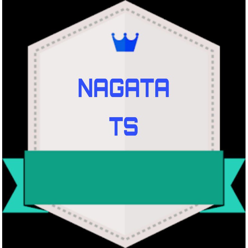 (Bisa cod) Seragam pencak silat dan beladiri nagata drill TAPAK SUCI