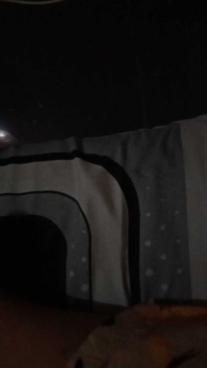 Atasan Blus Batik Wanita Seragam Kerja - Resleting Depan Top 1 Produk Shoppe Terbaru