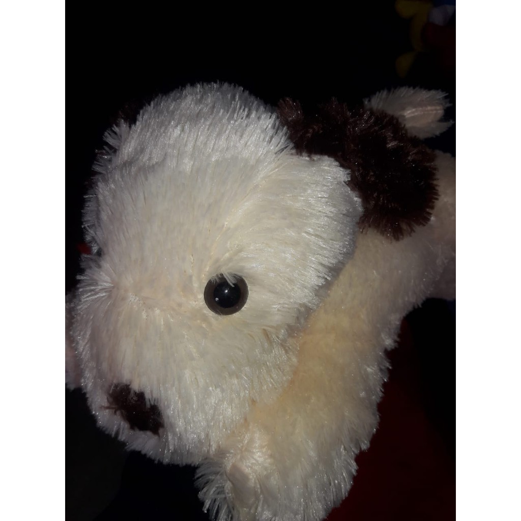 Boneka Kodok