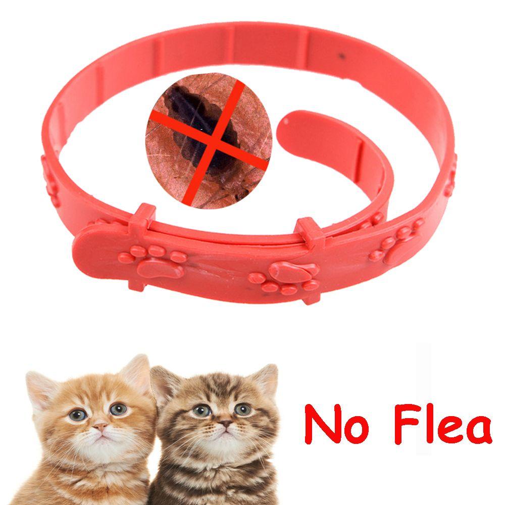 Lily Pet Collar Red Adjustable Obat Kucing Kitten