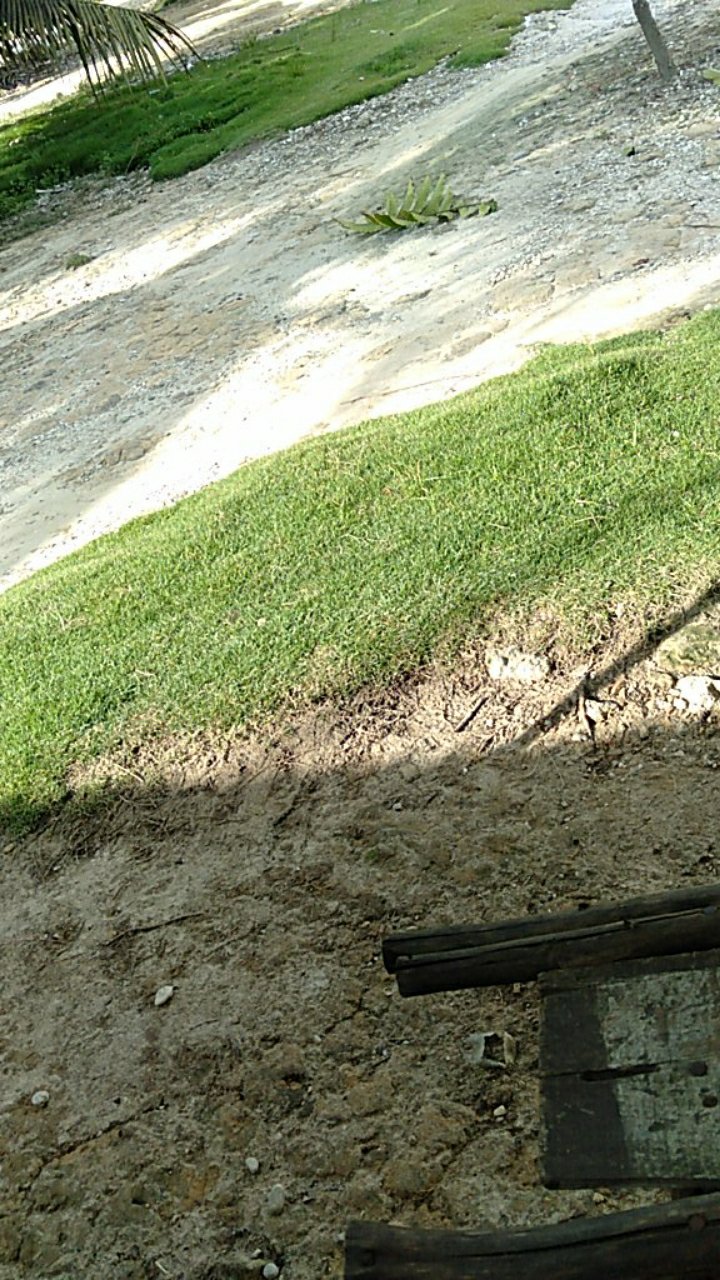 Grosir Piyama Batik Couple Anak Size 1-10 (lengan Pendek, Celana Panjang)