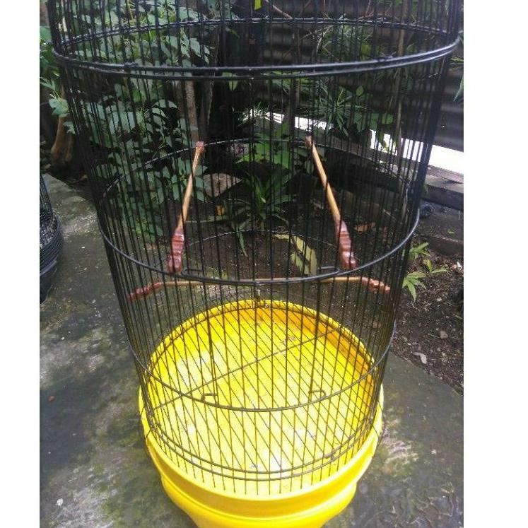 Banyak Dipakai.. tangkringan kolibri/konin sangkar LB