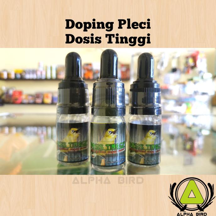 Buruan serbu] Dosis Tinggi Pleci