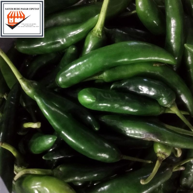 

Cabe Ijo Besar 250 gram