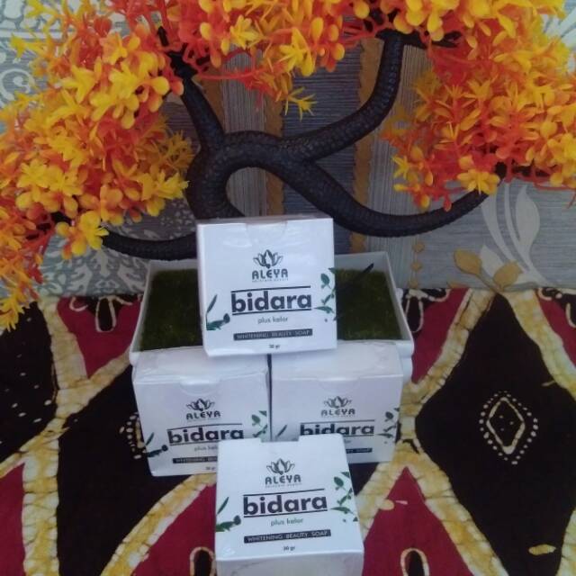 Sabun bidara plus kelor