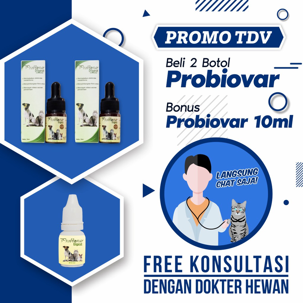 Obat diare kucing kitten anak kucing anjing probiovar
