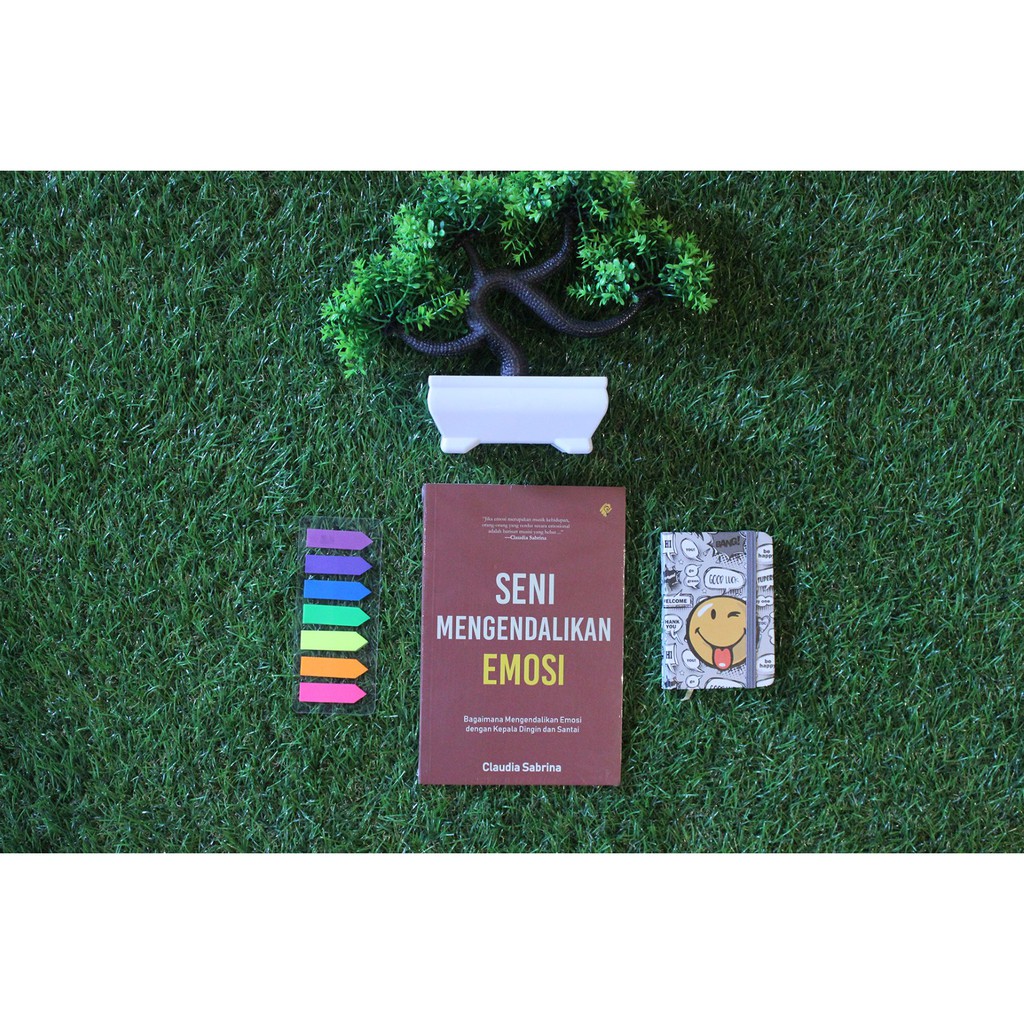 BUKU PSIKOLOGI MOTIVASI: SENI MENGENDALIKAN EMOSI