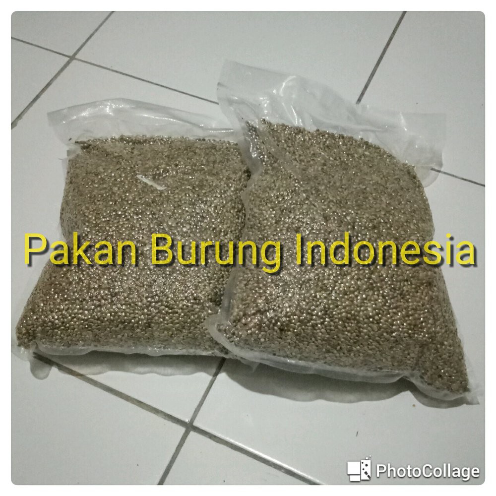 Biji Fumayin 100gr Berkualitas Shopee Indonesia