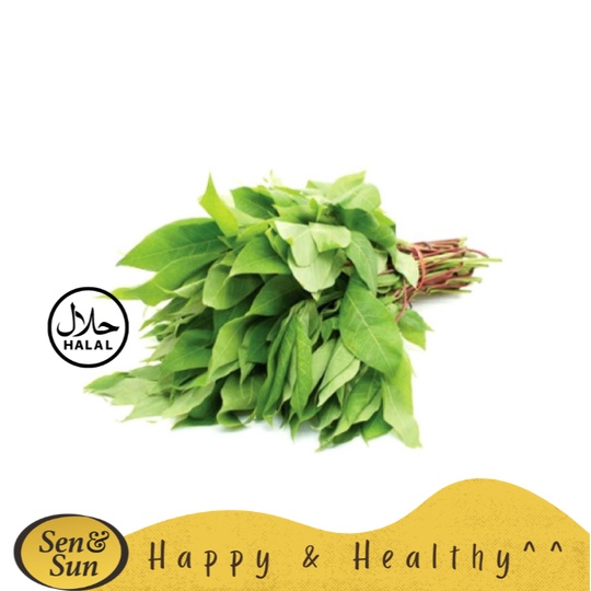 

Sen&Sun Daun Singkong 250 gr