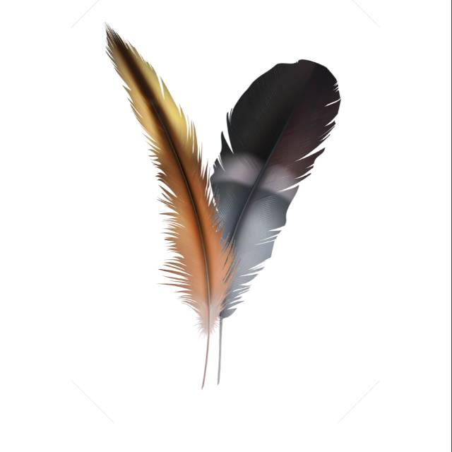 WALLDECOR HIASAN DINDING FEATHER BULU HOME DECOR RUSTIC SHABBY