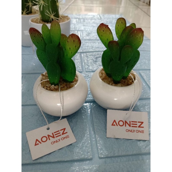 Z3 Bunga Kaktus  Hias / Bunga Kaktus + Pot Bunga / Kaktus Buatan