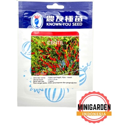 CABAI CENTIL 10 GRAM PACK BESAR benih biji bibit cabai rawit merah f1 cabai rawit hijau cabe hibrida known you seed