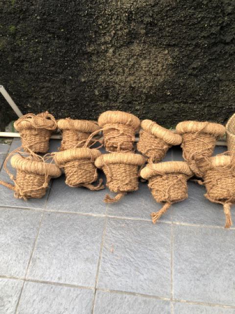 Pot Gantung Pot Serabut Kelapa Sabut Kelapa Pot Anggrek E
