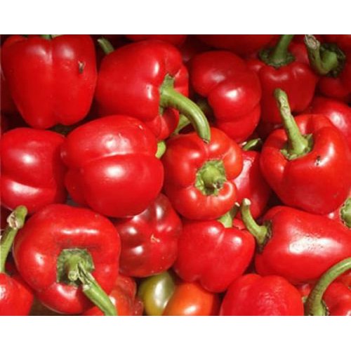 

Paprika Merah 250gram