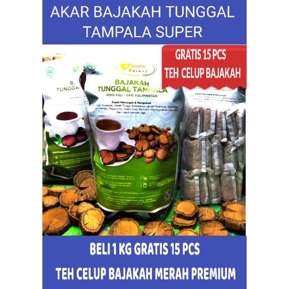 BAJAKAH, AKAR KAYU BAJAKAH TAMPALA TUNGGAL SUPER ASLI KALIMANTAN