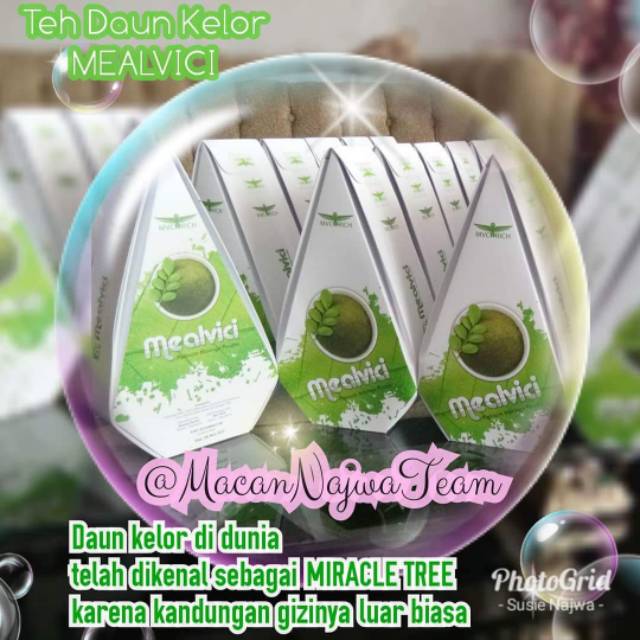 

Teh Daun Kelor