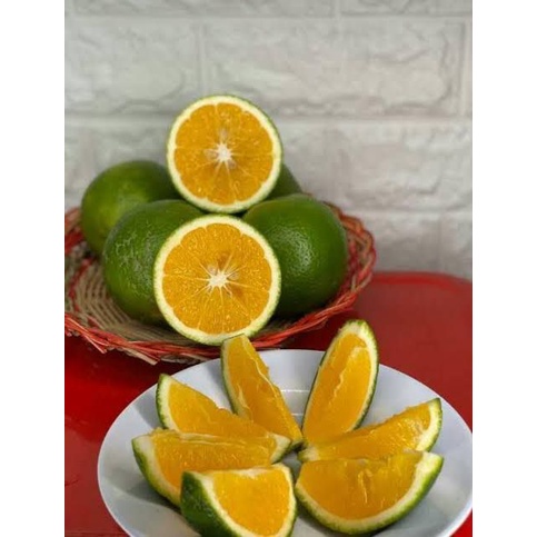 JERUK BABY JAVA 500GR | BUAH JERUK BABY JAVA BANDUNG | BUAH SEGAR BANDUNG | WARUNG CEU ENGKAY
