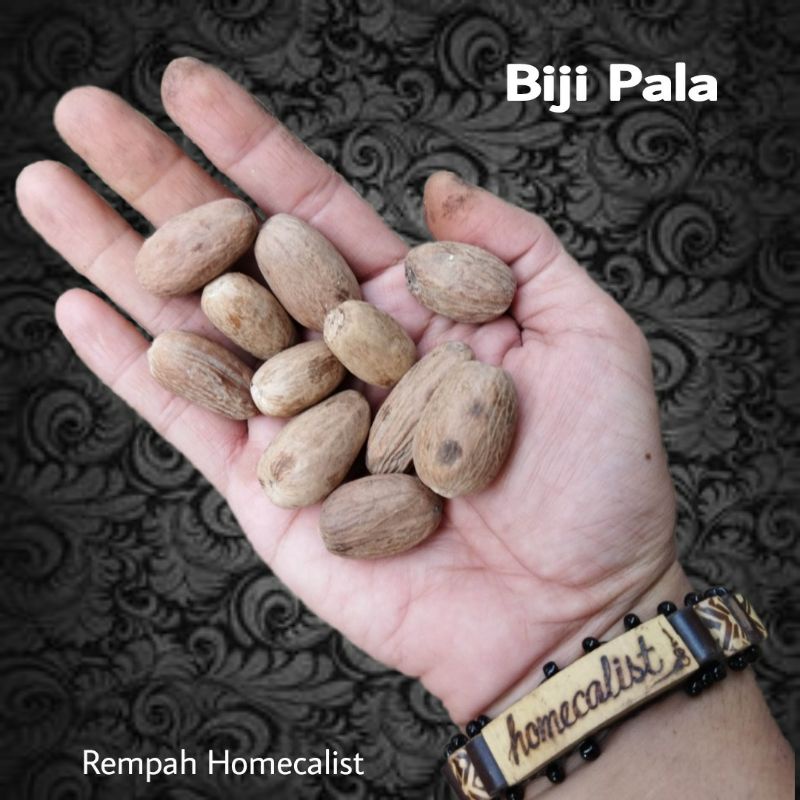 Biji Pala Lonjong - Pala