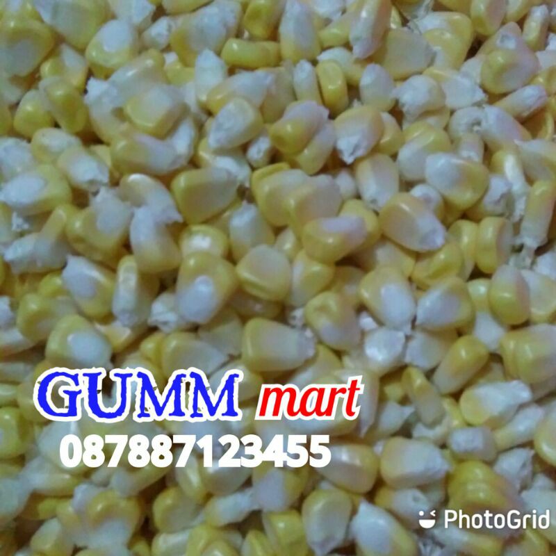 

Jagung manis pipil JASUKE