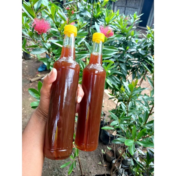 

Madu tawon klenceng Murni 250 Ml alami dari sarangnya