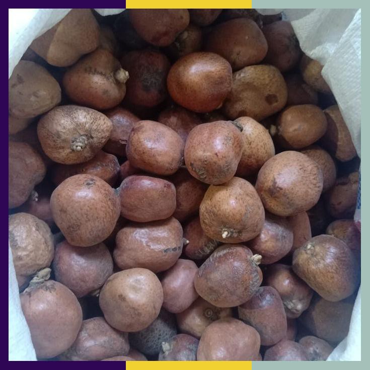 

Buah Zuriat Mesir 1Kg