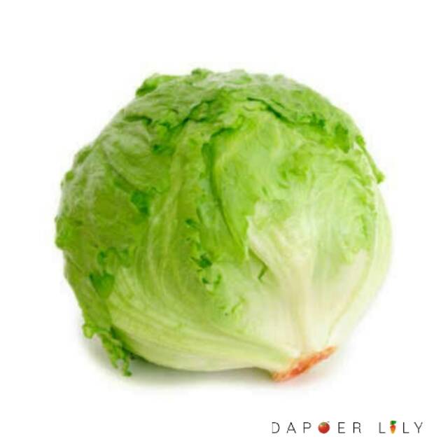 

Lettuce