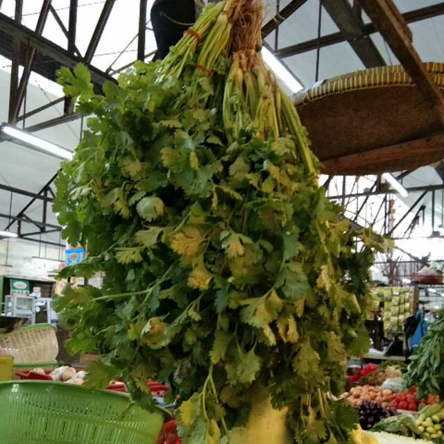 

Daun Ketumbar