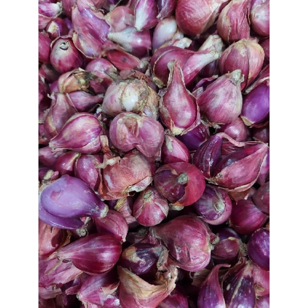 

RB Bawang Merah Brebes Segar 1kg Ukuran Sedang