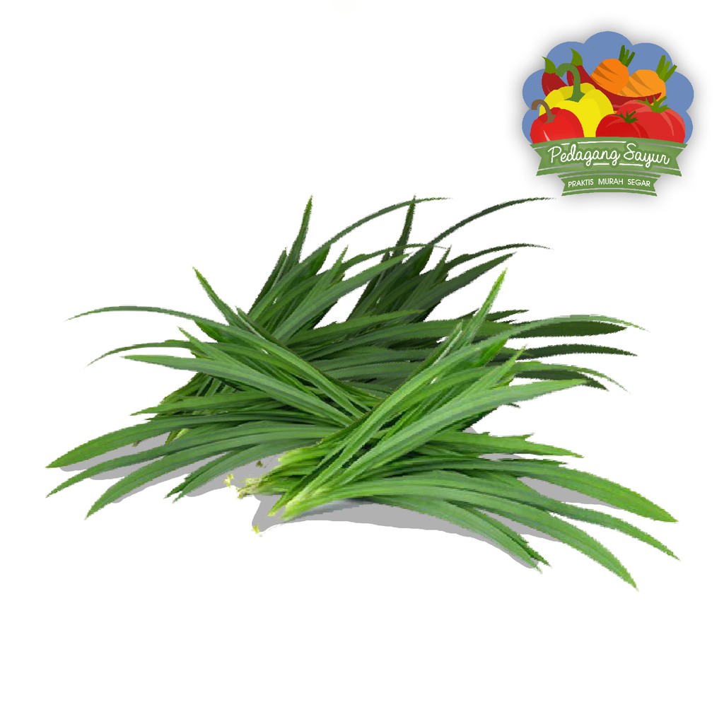 

Daun Pandan - Per Ikat