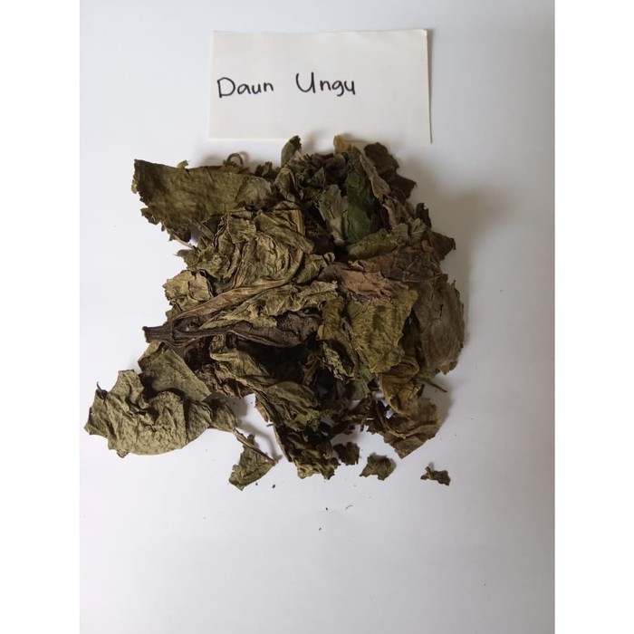 

Daun Ungu Kering / Daun Putri 50 gram