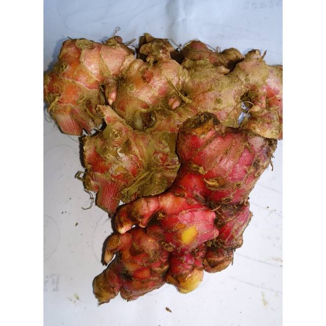 

JAHE MERAH 250gram/500gram/ 1kg