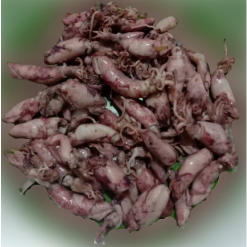 

Cumi asin IKAN ASIN ENAK SUPER 100 gram