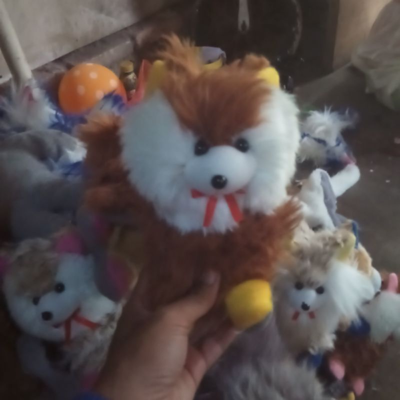 boneka kucing anggora bulu halus korea ukuran s