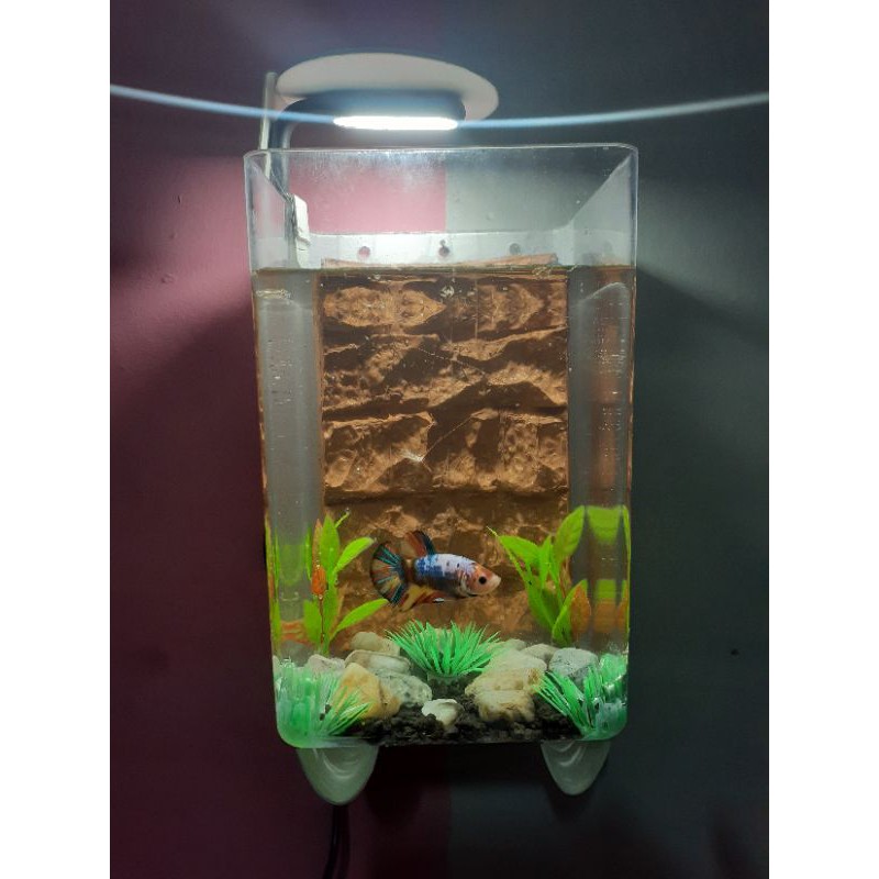 Aquarium Mini Akrilik Fullset BackGround Batu 3D (AralusBarang)