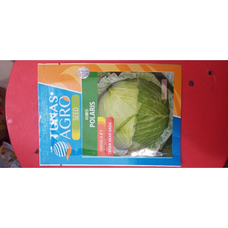 Benih Unggul Kubis Hibrida Polaris-Tunas Agro