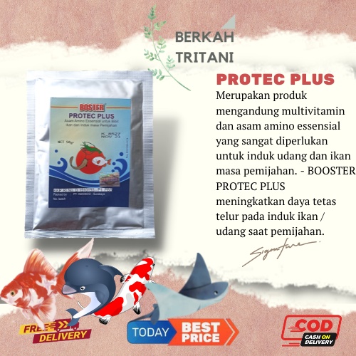 Obat Ikan Boster Protec Plus Asam Amino Essensial 50 Gram Asam Amino Untuk Ikan