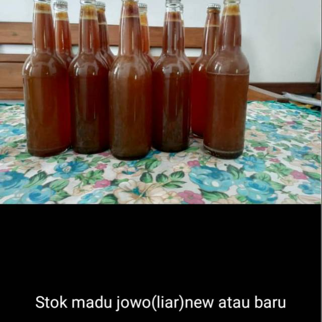 

Madu liar (lebah jowo)