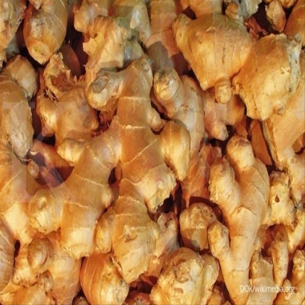 5 BENIH-BIJI JAHE EMPRIT BERTUNAS